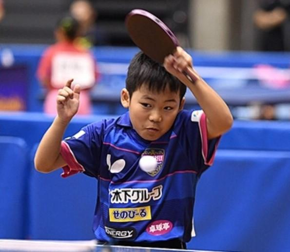 关于波兰乒乓球队翻盘法国乒乓球队，水谷隼制霸全场的信息