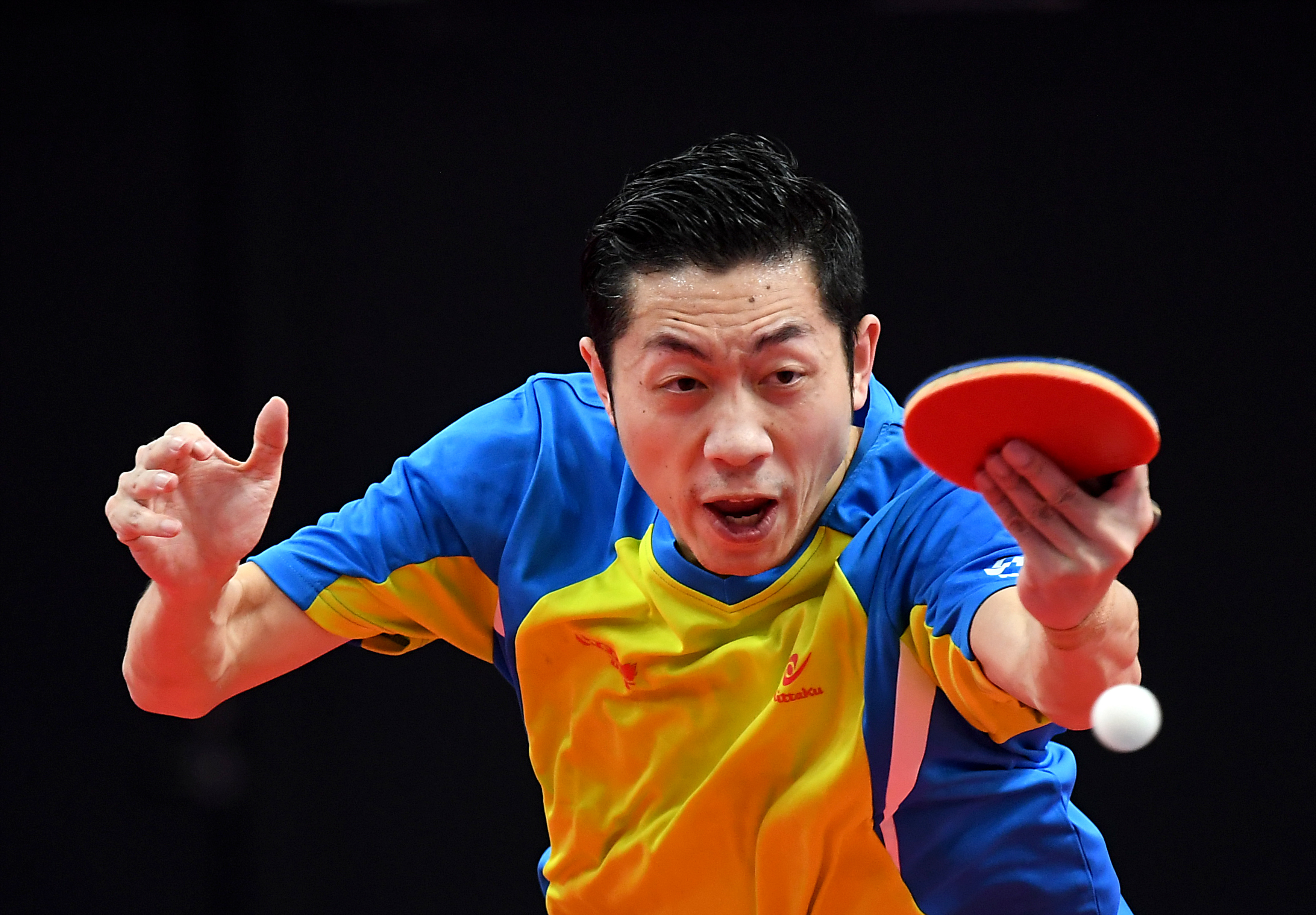 开云平台-奥地利乒乓球队横扫比利时乒乓球队，许昕高光表现的简单介绍