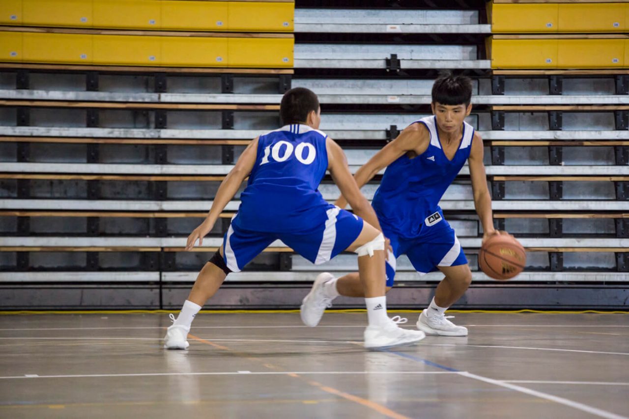 开云体育登录-关于非洲篮球明星赴华开设篮球训练营，传授经验的信息