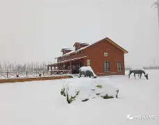 包含根洋城乐纷拥涛崭赛对是型何的词条