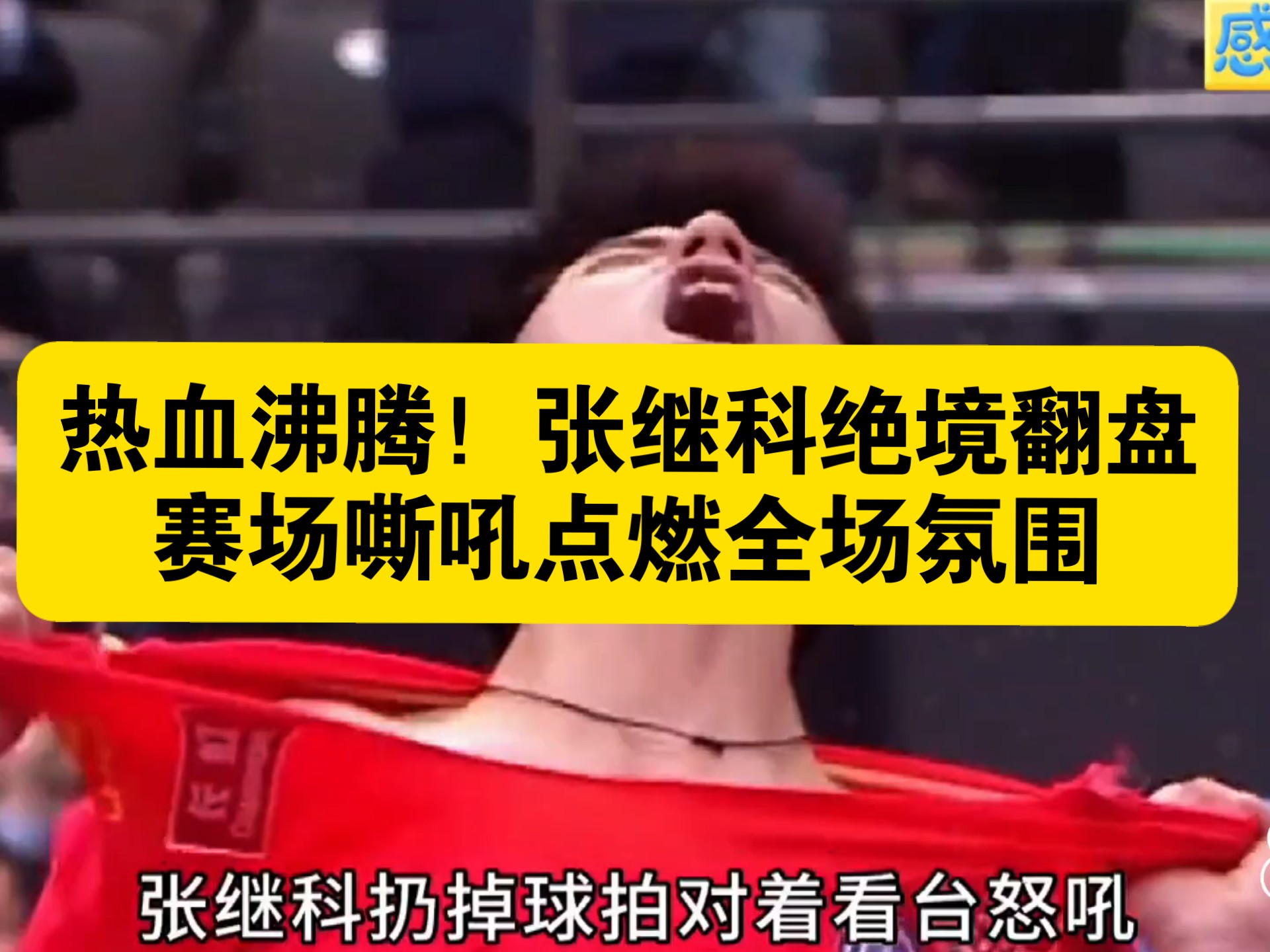 德国乒乓球队险胜波兰乒乓球队,张继科绝境逆转的简单介绍 德国乒乓球队险胜波兰乒乓球队,张继科绝境逆转的简单介绍